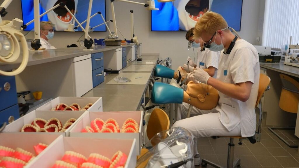 Zähne aus dem 3D-Drucker