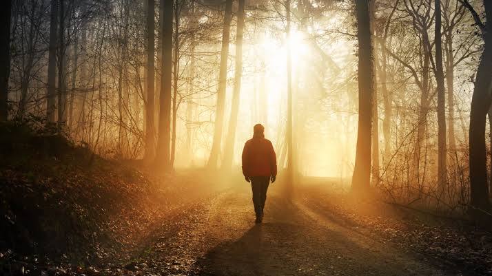 Deshalb sollte man im Herbst morgens eine halbe Stunde draußen in Tirol verbringen