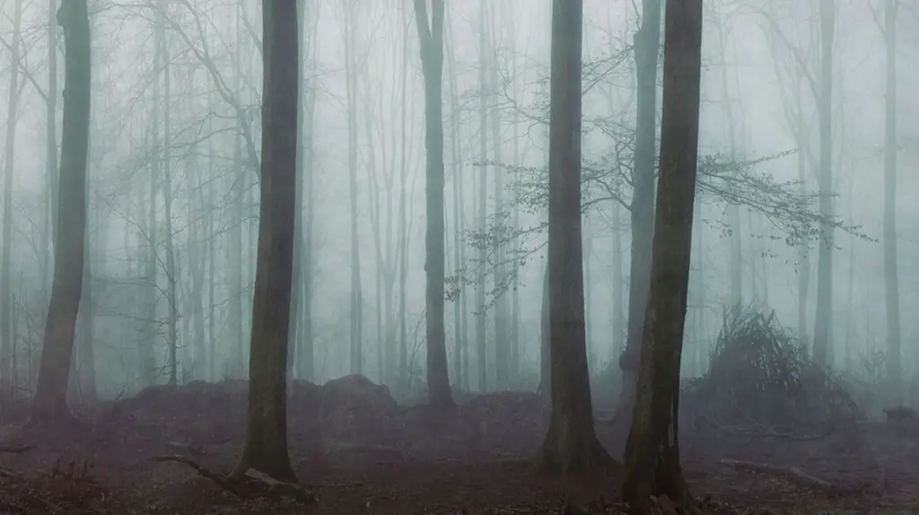 Der größte Fehler zwischen den Jahren: Drei Dinge, die Sie in den Raunächten vermeiden sollten