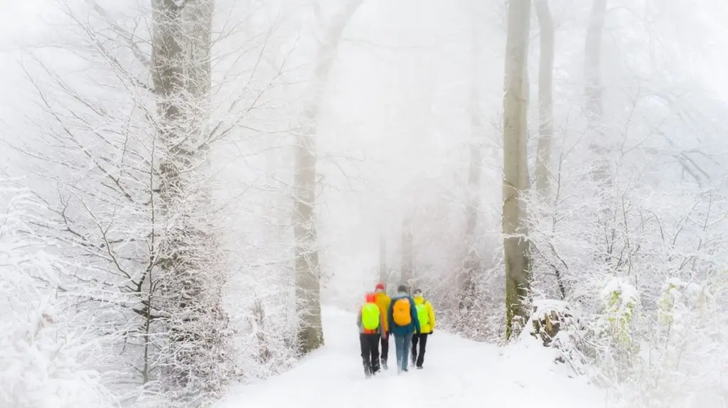 Experten verraten: Darum sind 4.000 Schritte oft wertvoller als 10.000