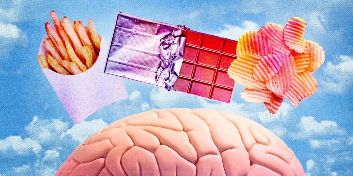 Warum erfahrene Neurowissenschaftler den präfrontalen Cortex für Heißhunger verantwortlich machen - image 1