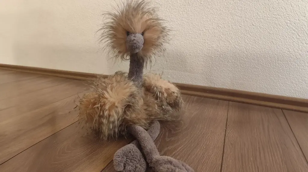 Wie Straußendame Odette heimische Tierheime in Bayern rettet