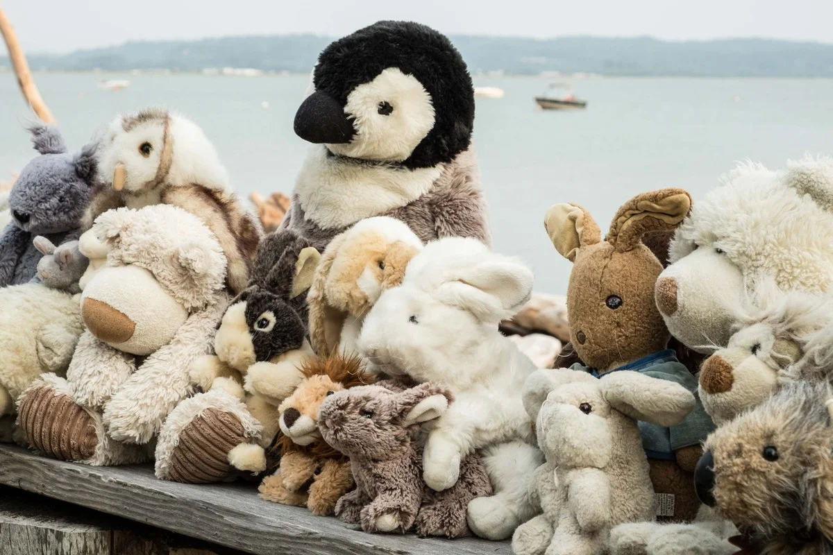 Wie Straußendame Odette heimische Tierheime in Bayern rettet - image 1