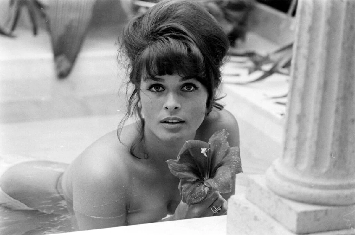 Der Geheimcode des Lächelns: Was die Meyerhoff-Verfilmung über uns verrät - image 2