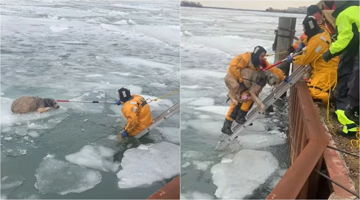 Mädel rettet Jungen aus zugefrorenem Eis – so helfen Sie im Notfall richtig - image 1