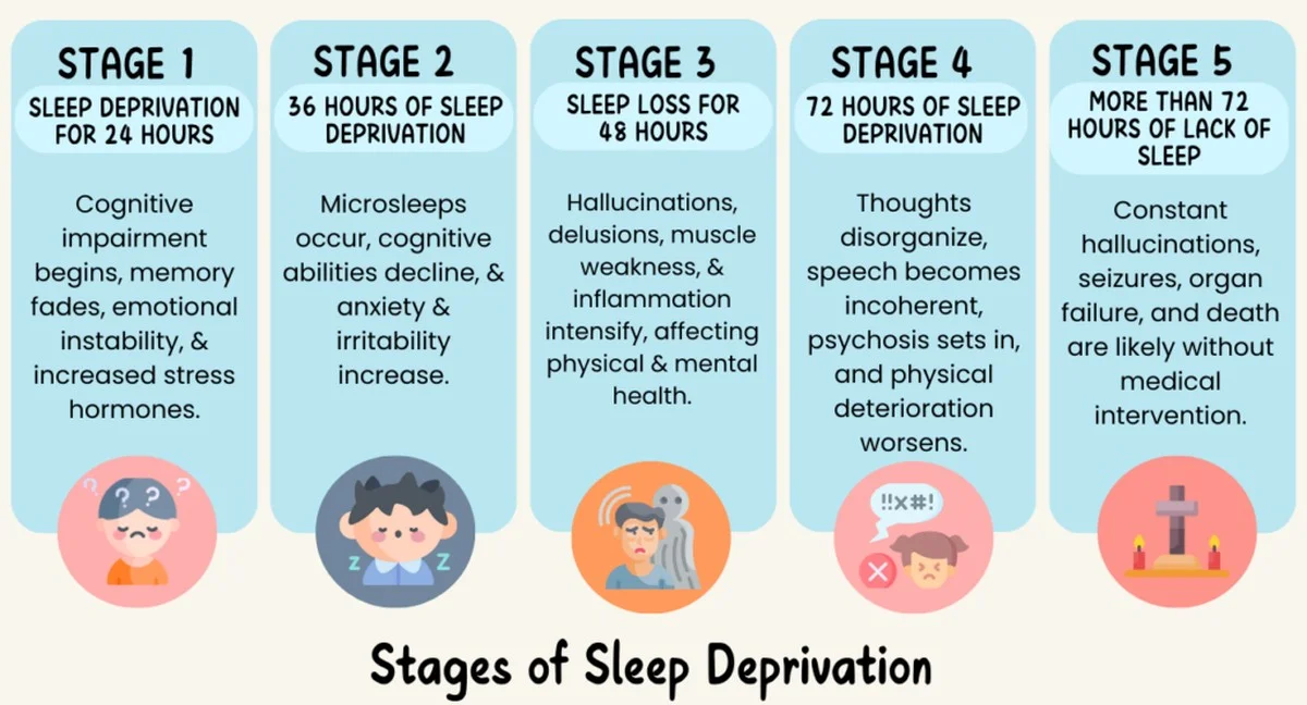 Warum wir trotz Müdigkeit vor dem Schlafengehen auf der Couch verweilen - image 1