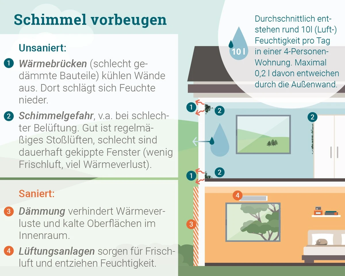 Der 5-Minuten-Trick gegen Schimmel: Richtig lüften im Winter wird so einfach - image 1