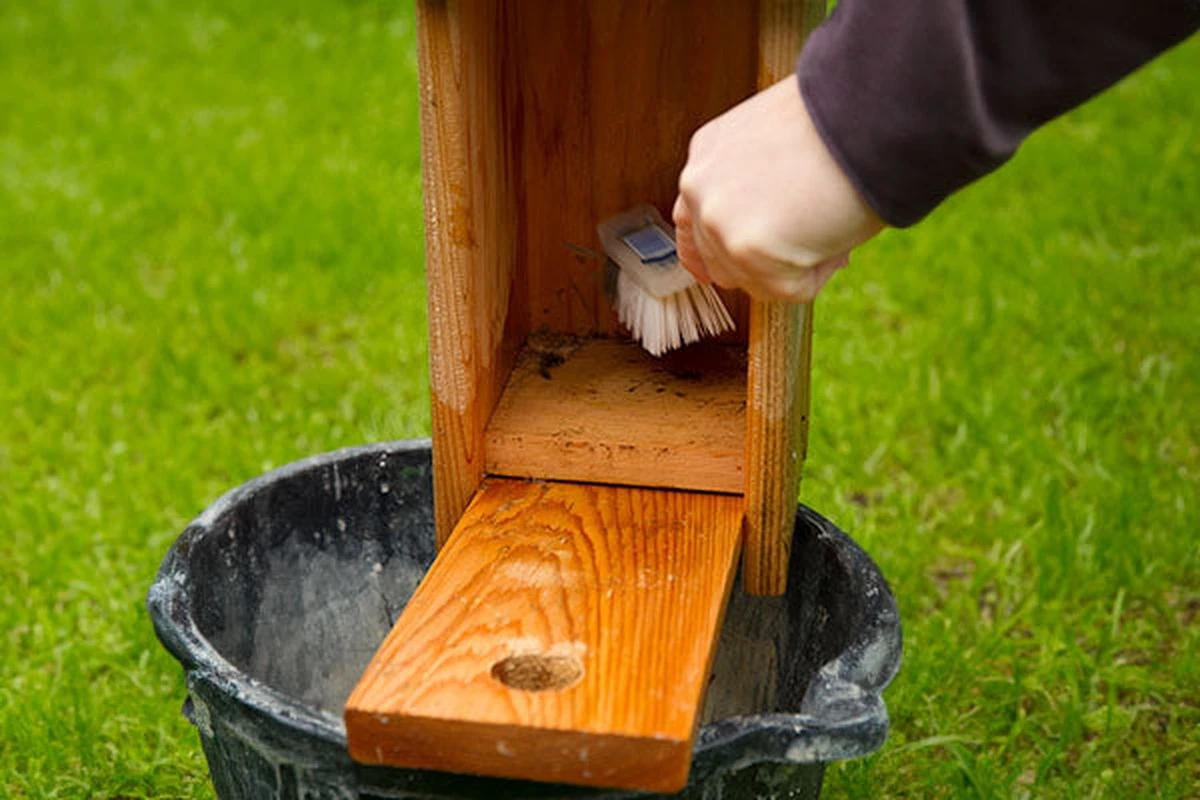 Der beste Zeitpunkt für die Nistkasten-Reinigung – und wie Sie es richtig machen - image 1