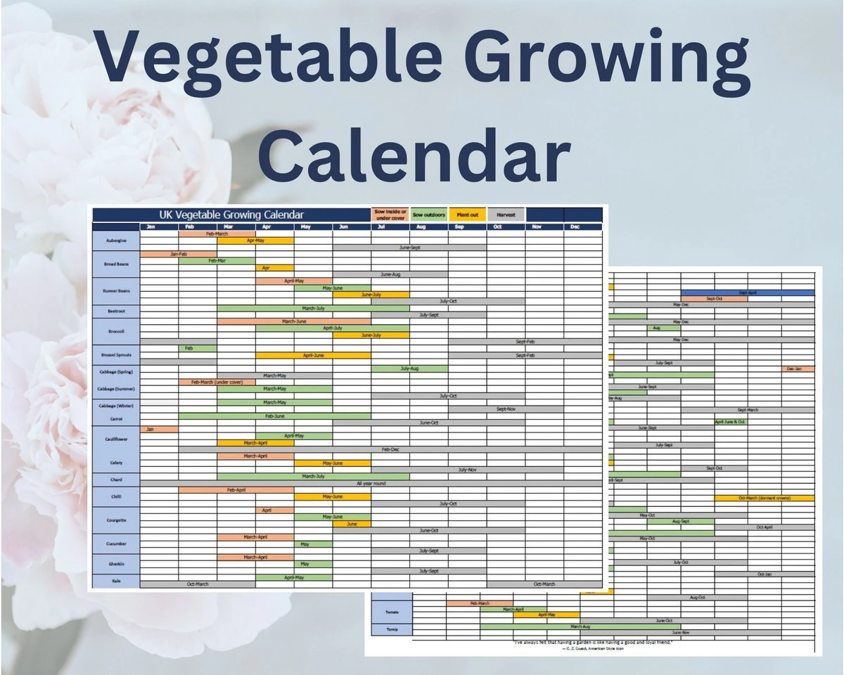 Der perfekte Ernteplan: Wann Sie welches Gemüse wirklich säen sollten - image 2
