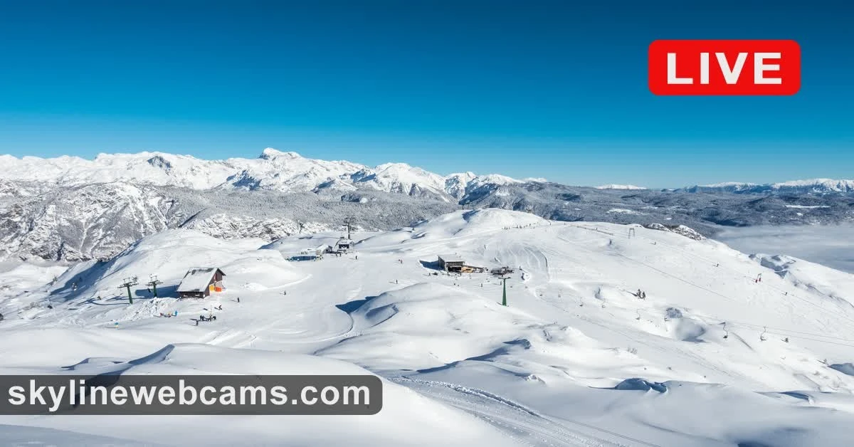 Erstes Ei im Wanderfalken-Nest geschlüpft: So beobachten Sie Wildtiere live in Bayern! - image 1