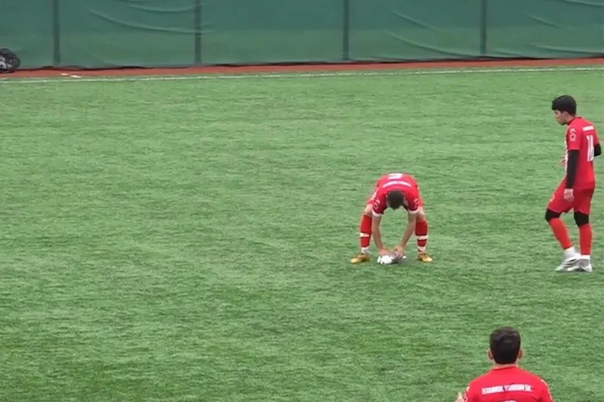 Fußball-Elfmeter rettet Möwe das Leben: Was nach dem Aufprall geschah, wird dich bewegen - image 1