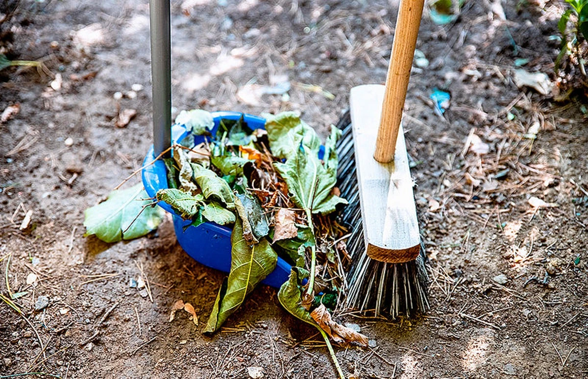 Gartenkalender Februar 2025: So bereiten Sie Ihren Gemüsegarten auf den Frühling vor - image 1