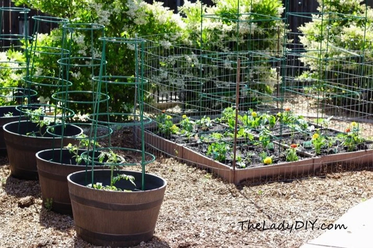 Gartenkalender Februar 2025: So bereiten Sie Ihren Gemüsegarten auf den Frühling vor - image 2