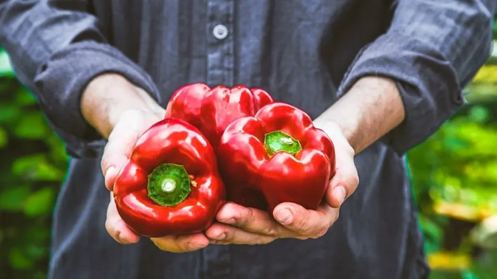 Paprika Sodbrennen: Warum dein Bauch rebelliert und was wirklich hilft