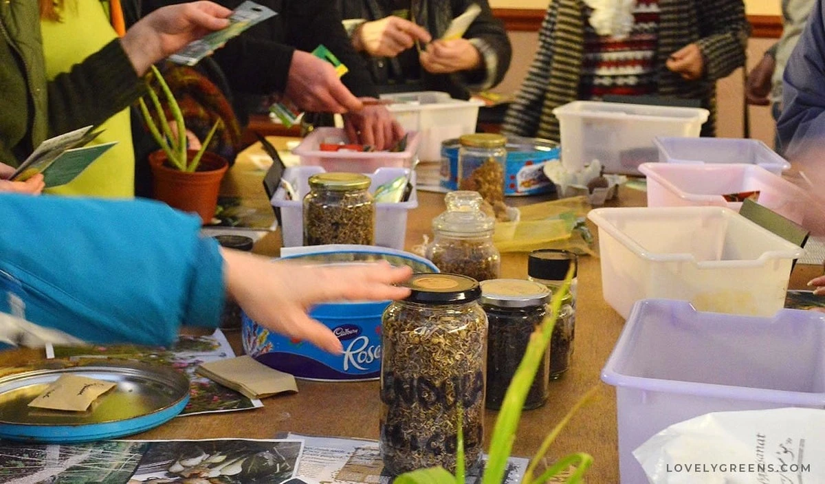 Warum deine Tomatensamen nicht mehr die selben Früchte tragen wie letztes Jahr - image 1