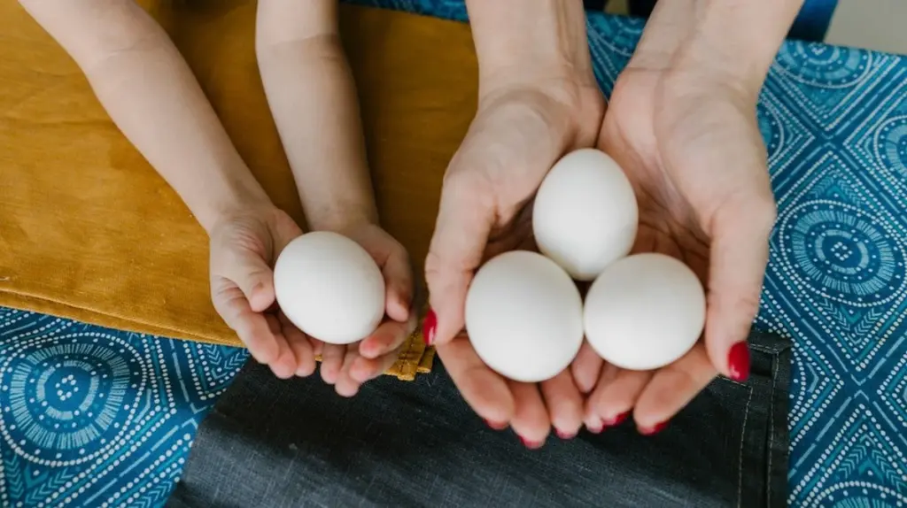 Wie viel wiegt ein Ei wirklich? Die geheimen Gramm-Unterschiede zwischen S, M, L und XL