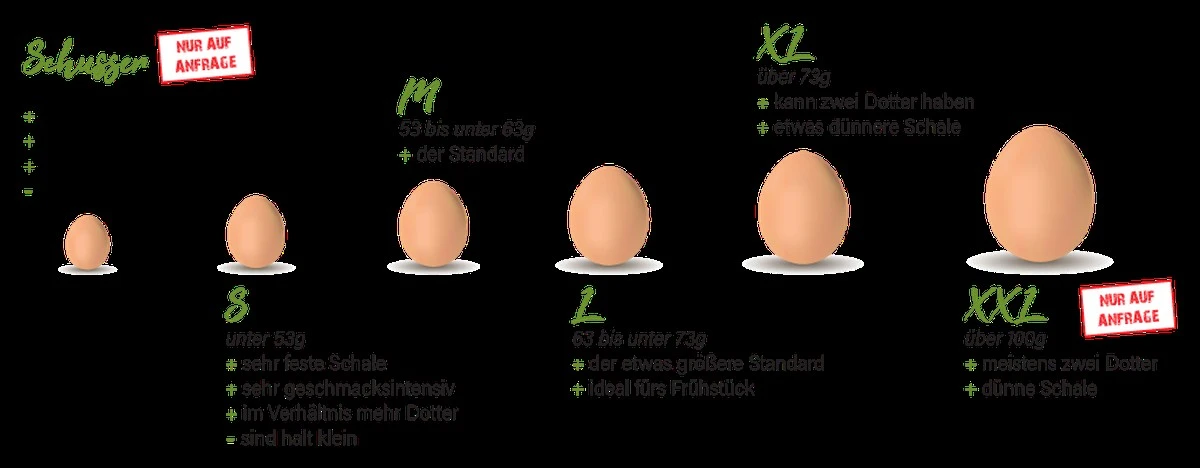 Wie viel wiegt ein Ei wirklich? Die geheimen Gramm-Unterschiede zwischen S, M, L und XL - image 1