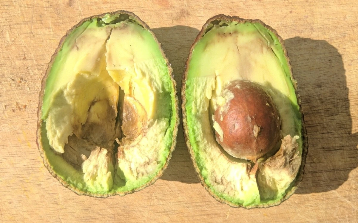 Avocado innen braun: 3 Anzeichen, dass sie noch essbar ist (und wann weg damit) - image 1