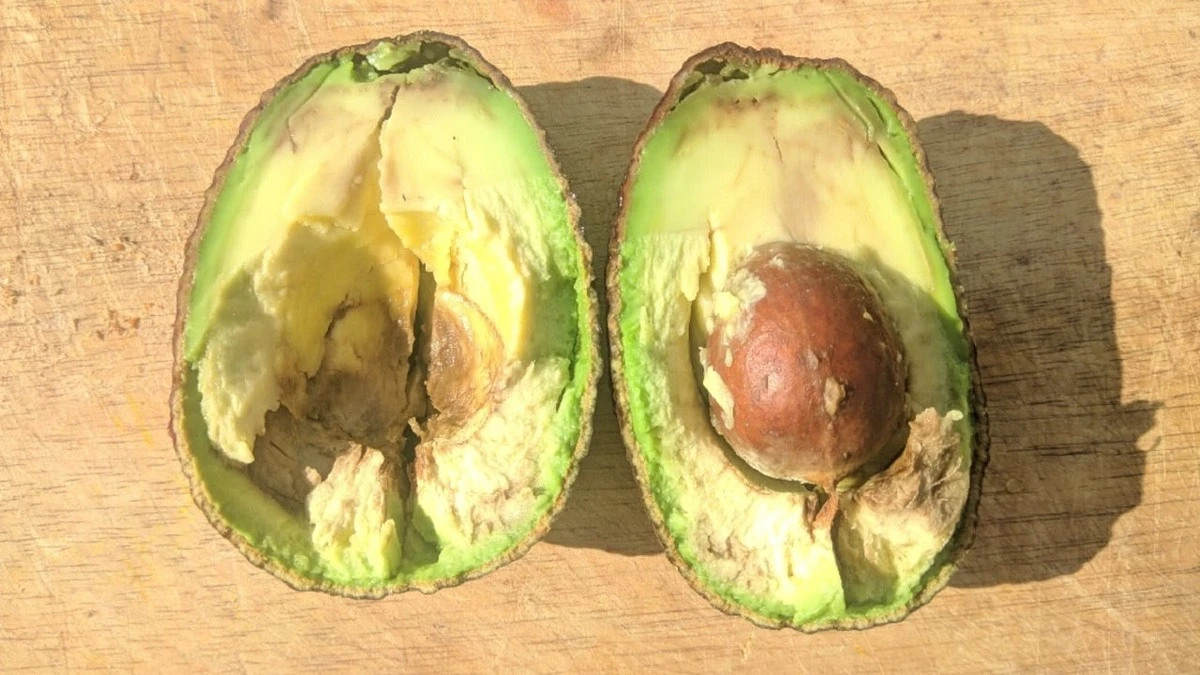 Avocado innen braun: 3 Anzeichen, dass sie noch essbar ist (und wann weg damit) - image 2