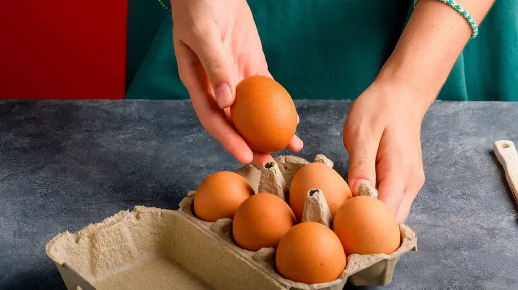 Bio-Eier im Test: Warum der Discounter oft überraschend gut abschneidet