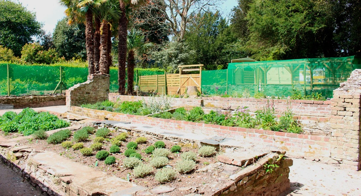 Blauschwarze Holzbiene im Garten: Ein Zeichen für ein gesundes Ökosystem - image 1