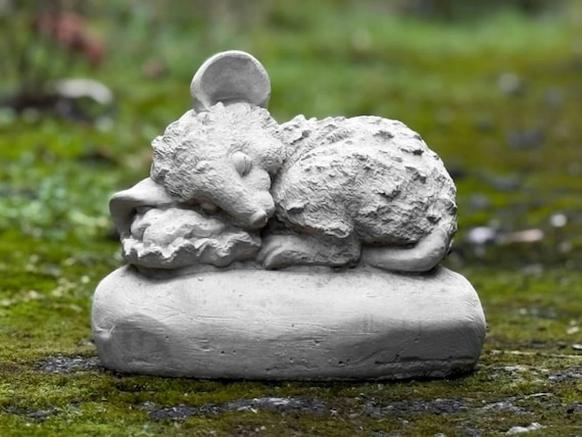 Gartenschläfer: Wie wir der kleinen Zorro-Schlafmaus helfen können - image 1