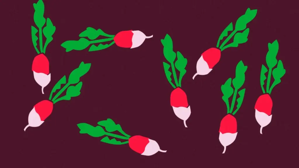 März 2025: Ihr entscheidender Leitfaden für ein blühendes Gemüsebeet