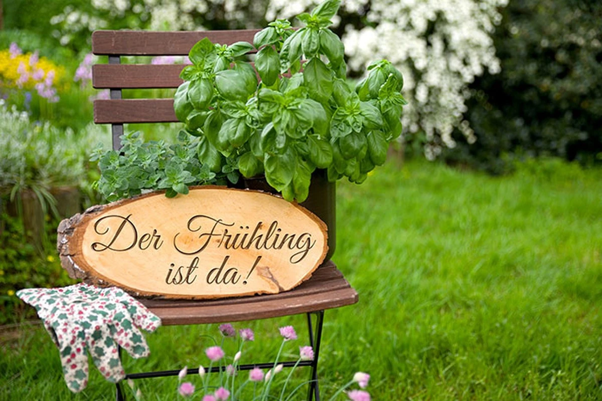 März 2025: Ihr entscheidender Leitfaden für ein blühendes Gemüsebeet - image 1