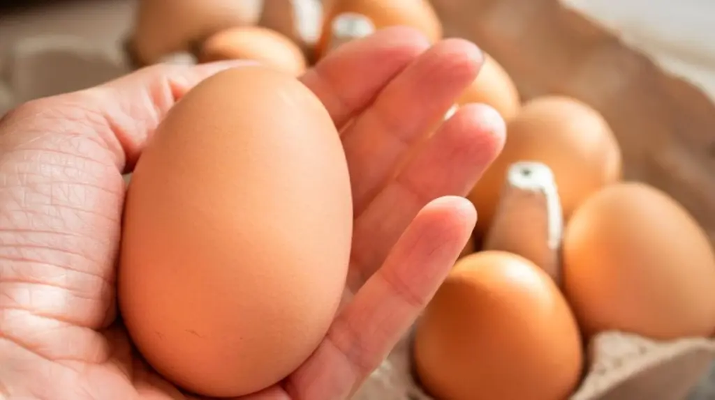 Sensation im Hühnerstall: Dieses Riesen-Ei enthüllte ein unglaubliches Geheimnis