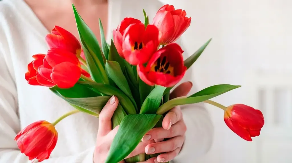 So bringen Sie Ihre Tulpen zum Blühen: 5 Geheimnisse für Frühlingsfreude, die länger hält