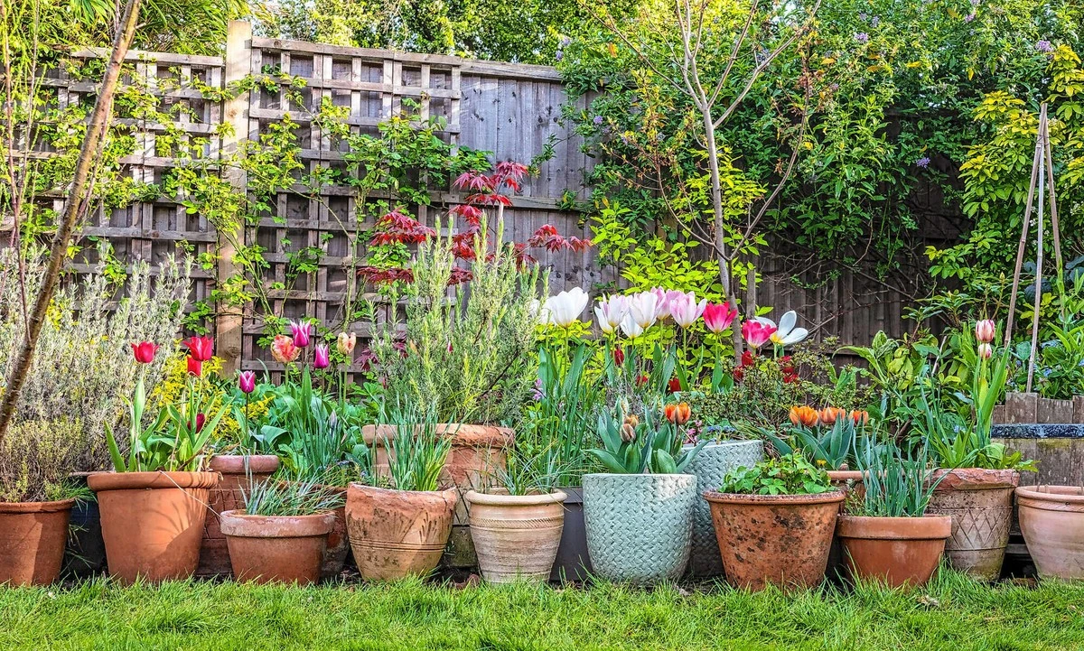 So machen Sie Ihre Kräuter-Pyramide: Der Geniestreich für jeden Balkon und Garten - image 2